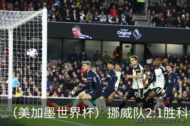 （美加墨世界杯）挪威队2:1胜科特迪瓦队 时隔28年重返16强