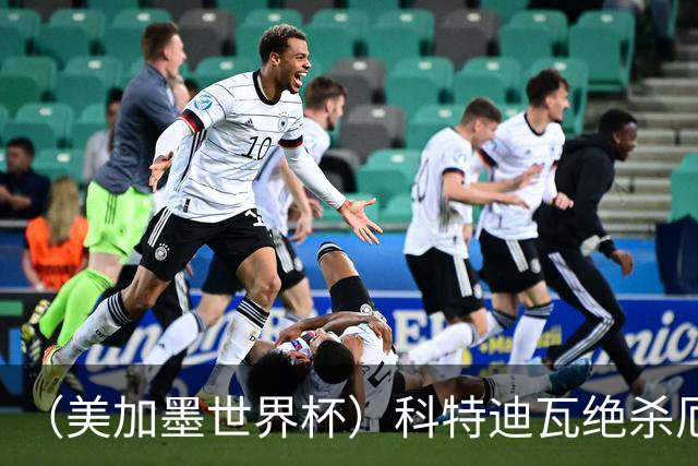 （美加墨世界杯）科特迪瓦绝杀厄瓜多尔 瑞典5:1大胜突尼斯